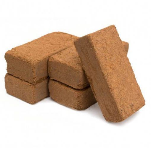 Coco Peat 650gms blocks